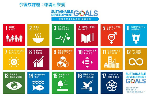 図1：国連持続可能な開発サミットにより採択された世界を変革する持続可能な開発目標17項目を示す図。
