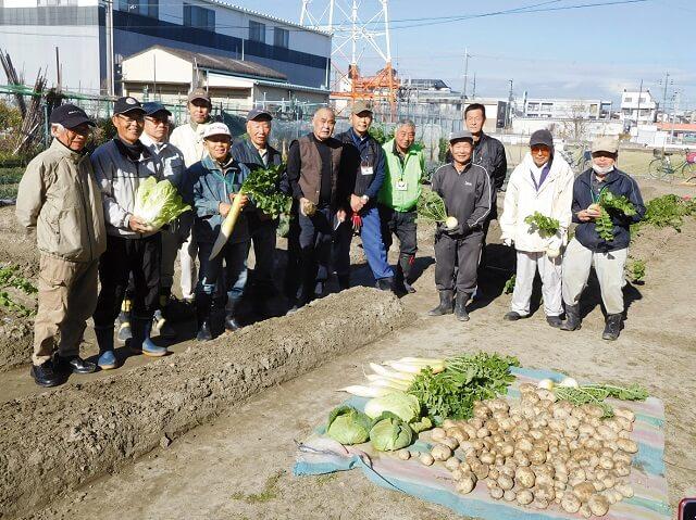 写真2、冬野菜を収穫をするアグリの皆さんの写真（2021年12月撮影、鶴見区社協提供）。