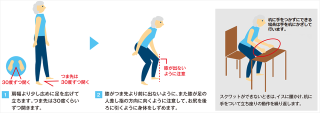 図3：ロコトレ「スクワット」の手順を示す図。肩幅より少し広めに足を広げて立ちつま先を30度くらいずつ開きます。膝を足の人差し指の方向に向け、つま先より前に出ないようお尻を後ろに引くように身体を沈めます。スクワットができない時は椅子に腰かけ机に手をついて立ち座りの動作を繰り返します。