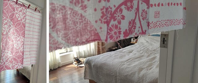 写真：筆者の寝室の満開の桜柄ののれんと、その奥でくつろいでいる愛猫もふこを表す写真。
