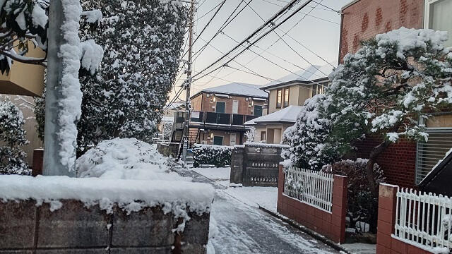 写真：筆者の職場がある東京都多摩地区に雪が降り路面が凍る様子を表す写真。