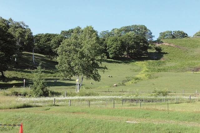 写真1：いきがいの丘と呼ばれる緑広がるボーヤ・ファームの写真。