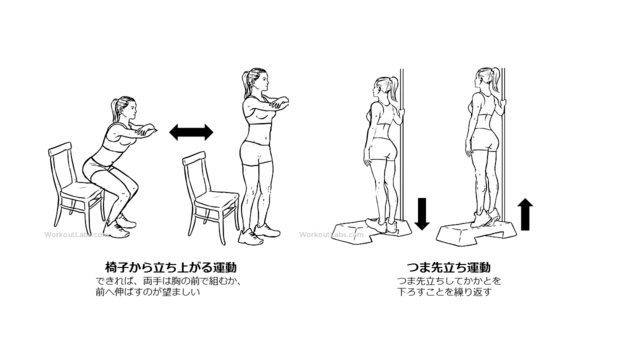 図１：筋力トレーニングの例。椅子から立ち上がりを繰り返す運動と、つま先立ちを繰り返す運動