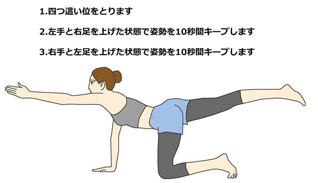 図2:バードドッグ（四つ這いバランス）を示すイラスト。四つ這いの体位になり、左手と右足を上げた状態を10秒キープする。逆の手と足も同様に行う。