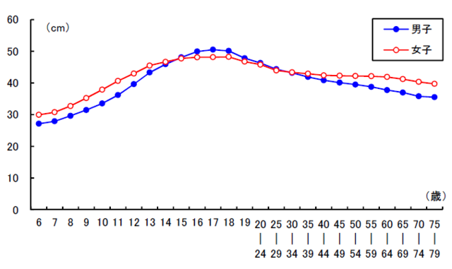 グラフ4：加齢に伴う長座体前屈の変化を示すグラフ。男子では17歳女子では18歳をピークに加齢と共に低下する