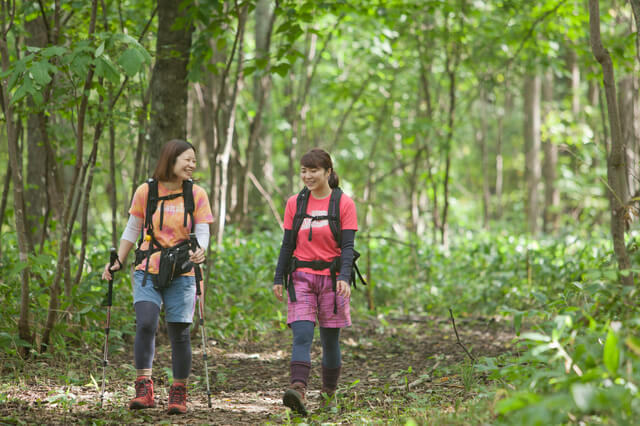 ハイキングする女性の写真。ハイキングは自然を楽しむことを主な目的として歩くことです。そのため、長時間歩くことになり、有酸素運動になり生活習慣病や肥満などの予防改善に効果的です。トレッキングは主に山歩きを指します。