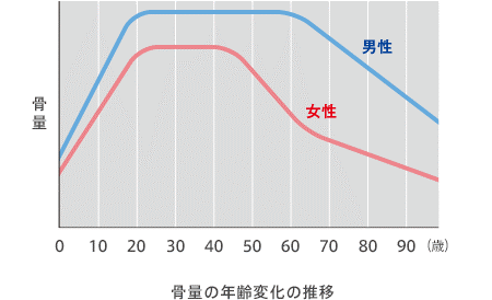 グラフ1:男性は60代から、女性は40代から骨量が減少していくことを示したグラフ。
