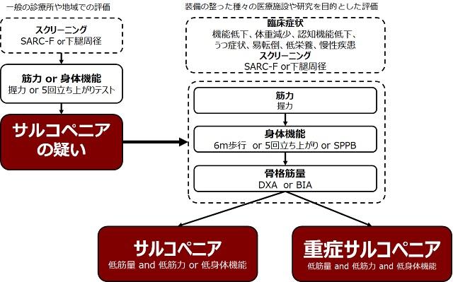 図1：サルコペニアの診断基準AWGS2019を表す図。