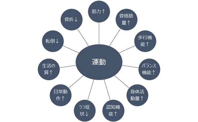 図1：サルコペニアの予防や治療に対する運動の効果を表す図。