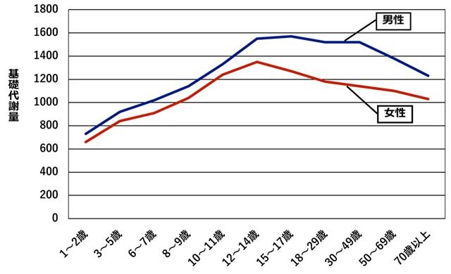グラフ2：基礎代謝量の年齢変化を示す折れ線グラフ。