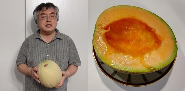 写真:筆者のご主人が友人からいただいた夕張メロンを持つ様子を表わす写真と夕張メロンを半分に割った写真。