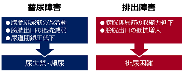 図1:排尿障害と排出障害の違いを示す図。
