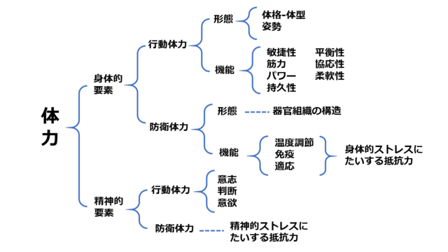 体力の構成を示す図。