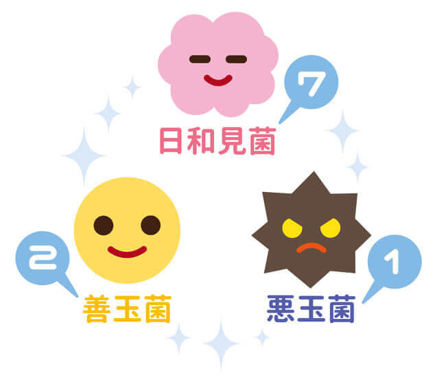 図2:善玉菌2、悪玉菌1、日和見菌7が腸内フローラの理想のバランスであることを示すイラスト。