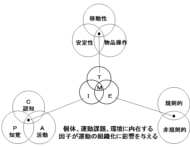 図2:個体・運動課題・環境に内在する因子が運動の組織化に影響を与えることを示す。