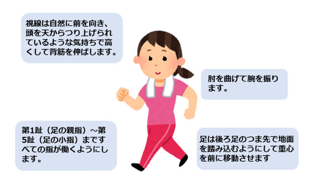 図:正しいウォーキングフォームを示すイラスト。