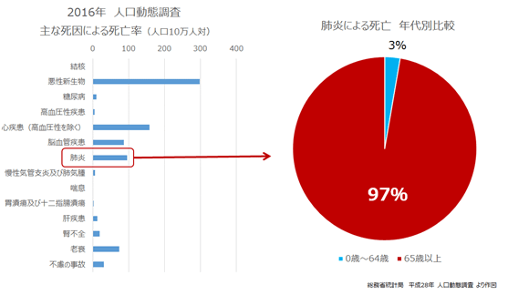 グラフ:平成28年の主な死因別死亡数の割合と肺炎による死亡の年代別比較を示すグラフ。肺炎で亡くなる人の97%以上を高齢者が占めることを示す