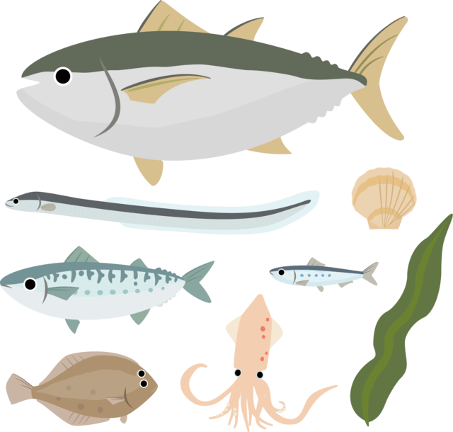 海藻類と魚介類のイラスト。