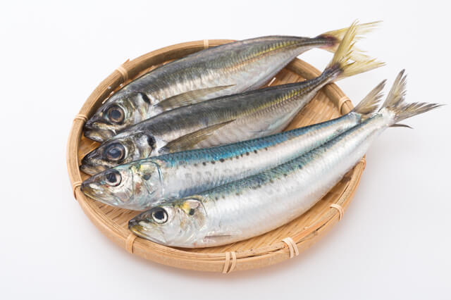 脳血管疾患(脳梗塞・脳内出血・くも膜下出血)予防になる食べ物として血栓をできにくくし、LDLコレステロールを下げる働きがあるDHAやEPAを含む鰯と鯵の写真。