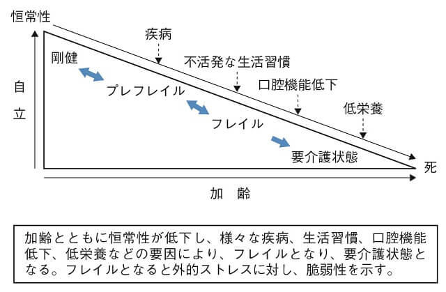 図1:フレイルと加齢との関係を示す図。加齢とともに恒常性が低下し様々な疾病などの要因によりフレイルとなり要介護状態となる様子を表す。