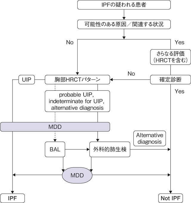 図:IPF診断のアルゴリズムを表す図。