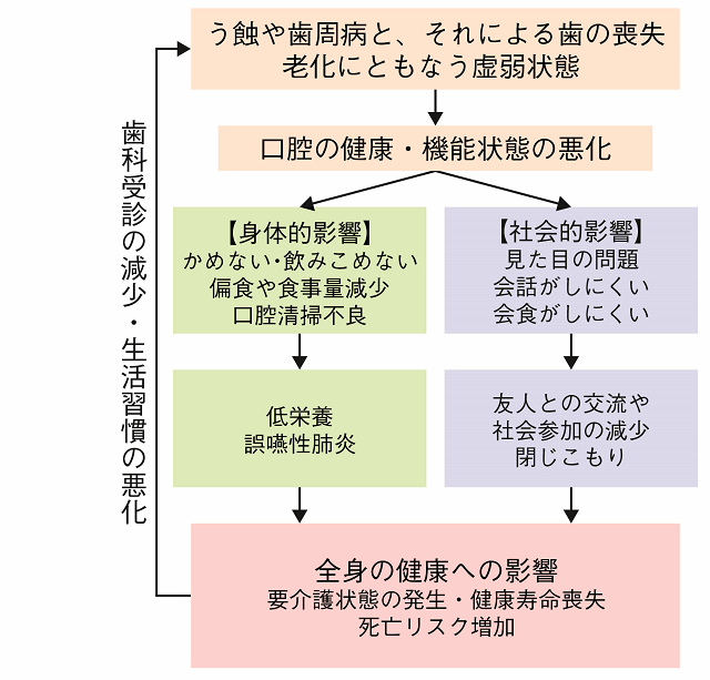 図1:オーラルヘルスの健康面からの重要性について示された概念図。