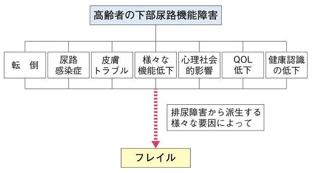 図4:フレイルと下部尿路機能障害との相互関係を示す図。