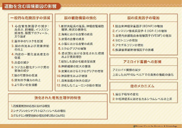 運動を含む環境要因の影響を示した図