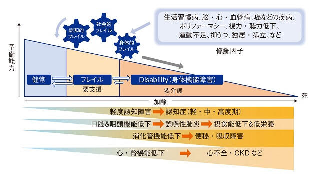 図11:高齢者のフレイル・サルコペニアと高齢者誤嚥性肺炎・摂食嚥下障害の関連を示す図。