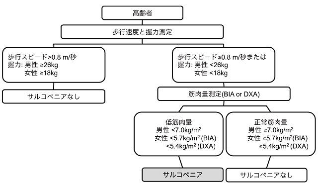 図1：AWGS 2014 のサルコペニア基準を表したフローチャート