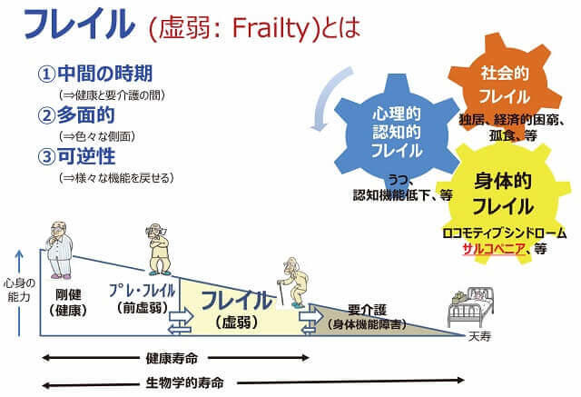 要介護状態に至る前段階であって身体的な脆弱性のみならず、精神・心理的な脆弱性や社会的な脆弱性といった多様な課題と不安を抱えた状態のフレイルについて説明した図