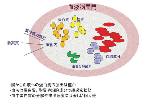 図1：脳病変を血液検査で検出されることが困難であることをあらわす図。血液脳関門の存在、脳から漏出した蛋白の検出の困難さ、個人による蛋白分解酵素活性の多様さが挙げられる