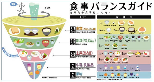 図1：厚生労働省が示す食事バランスガイド。主食、主菜、副菜、牛乳・乳製品、果物を摂取する目安を1日単位で表した図。