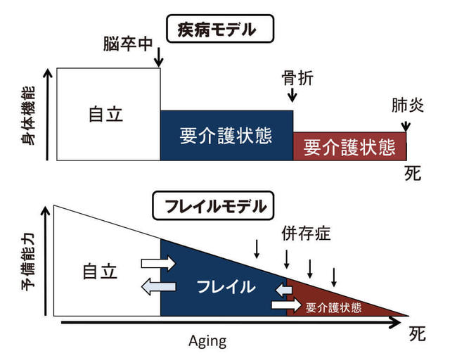 図1：疾病による要介護に至るプロセスとフレイルを介した要介護に至るプロセスを示す図。