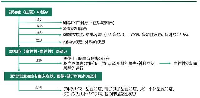 図2：認知症の診断フローチャート。臨床診断では、問診、身体的診察、 神経学的診察を行い、認知症の有無、症状、重症度を把握する。認知機能検査、脳画像検査、血液検査、脳脊髄液検査などを行い、認知症の病型診断を行う。