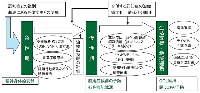 図2：高齢者うつ病における急性期、慢性期、生活支援・地域連携の3本の柱の治療戦略の概要をあらわす図。