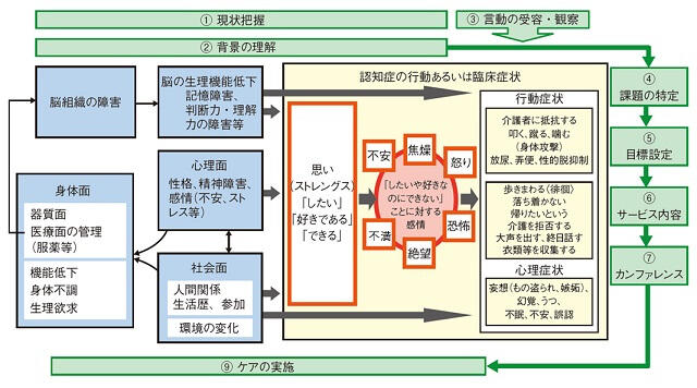 図2：BPSDが生じるメカニズムと認知症ケアの段階を示す図。生理身体面、精神心理面、社会環境面から生じるしたいのにできないことに対する不安や絶望といった心理症状に対し、ニーズを把握しケアプランを作成することが大切である。