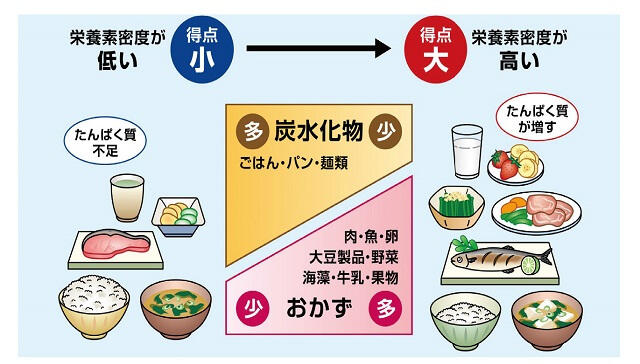 図2：食品摂取の多様性スコアを表す図。スコアが高いほど栄養素密度が高いことを示す。