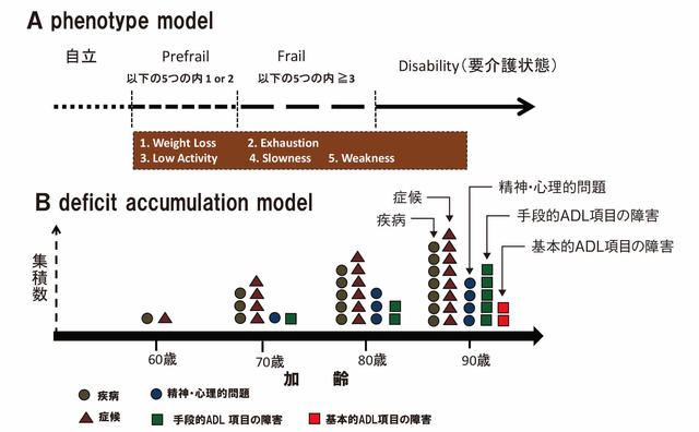 図2：フレイルの表現型モデルと障害累積型モデルを示す図。