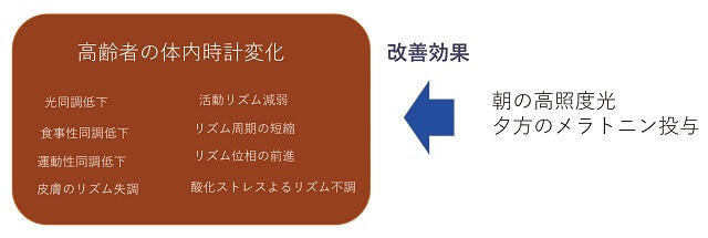 図2：主時計としての性質や機能が加齢によって変化することを示す図。朝の高照度光と夕方のメラトニンにより改善がみられる。