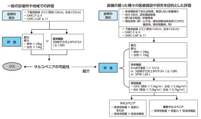 AWGS 2019サルコペニア診断基準について一般の診療所や地域での評価と装備の整った医療施設や研究を目的とした評価について表した図