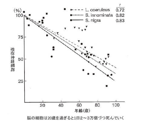 図3：脳細胞の加齢による変化を表す図。脳の認知機能の中枢、運動の中枢、自律神経の中枢のいずれも直線的に減少する様子を示す。