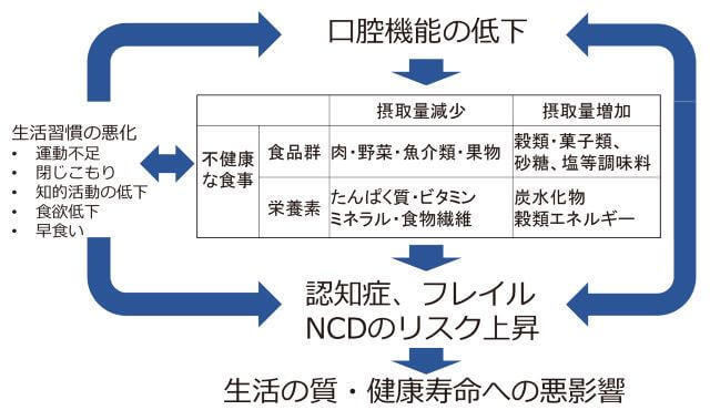 図3：口腔機能低下が栄養に影響し、生活の質・健康寿命へ影響する一連の流れを示す図。