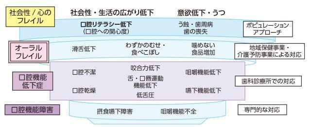 図３：日本老年歯科医学会から口の健康が徐々に衰えていくステップを示した概念図。