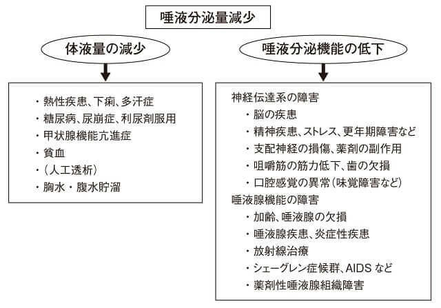 図3：唾液分泌量の減少の原因について、体液量の減少によるものと唾液分泌能の低下によるものに分けて示した図