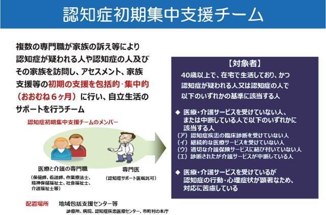 図4：認知症初期集中支援チームの概要を示す図。認知症サポート医は初期集中支援チームのチーム員としての位置づけをあらわす。