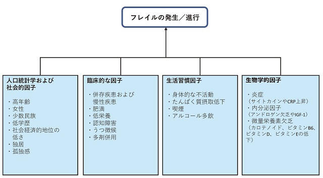 フレイルの発生・進行を促進させる危険因子として人口統計学的および社会的要因、臨床的要因、生活習慣要因、生物学的要因などがあることを表した図