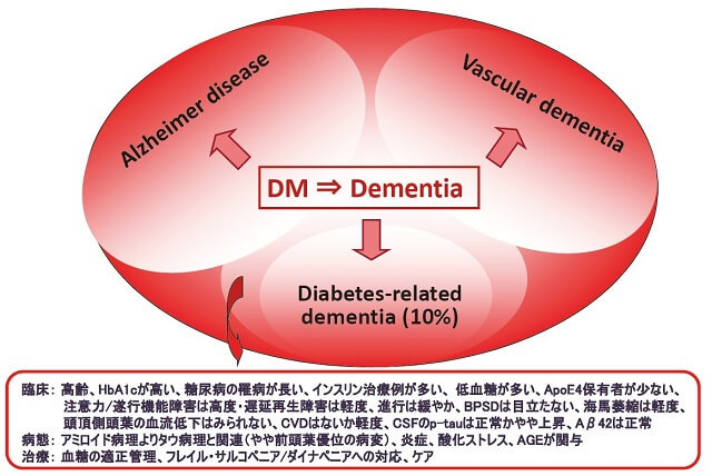 図4：糖尿病性認知症の臨床像、脳画像所見、脳脊髄液所見、診断のためのガイドライン、病態、治療とケアについて概説した模式図。