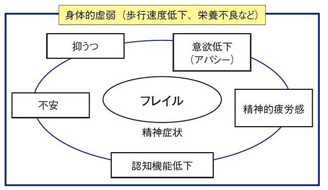 図4：フレイルはうつ症状を高頻度に合併し、意欲低下と不安、精神的疲労感があることを示す図