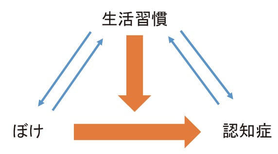 図8：生活習慣、ぼけ、認知症の三角関係を表す図。認知症のリスクとして生活習慣は大きく関係する。